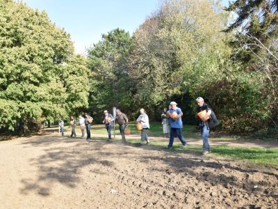 Neue Blühwiesen wurden eingesät