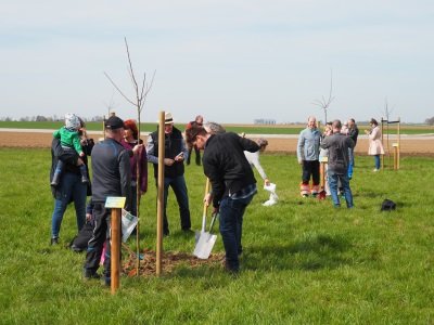 Pflanzfest auf der Bedburger Storchenwiese