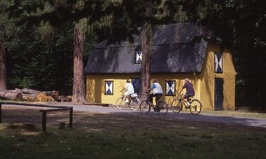 Radtourentipps im Herbst - Rundtour Naturpark Rheinland