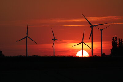 Martina Buschmann - Bild 3 - Windräder im Sonnenuntergang