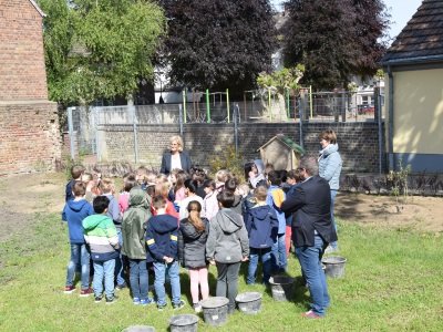 Noch mehr Bienen für die Wilhelm-Busch-Schule_1