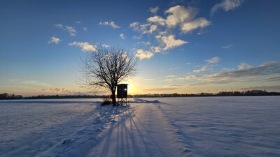 Tanja Weistroffer - Bild 2 - Königshovener Höhe im Winter